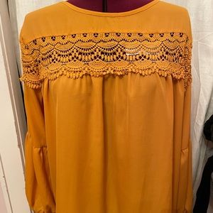 Shine curve 3/4 length blouse